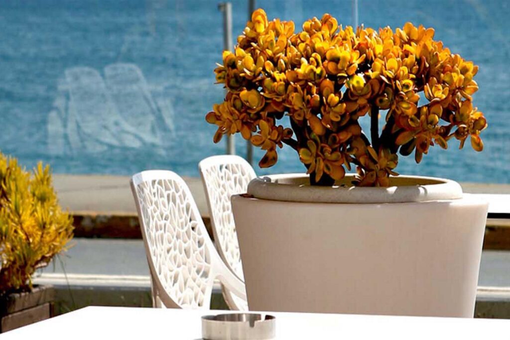 elite-city-resort-kalamata-07-jpg.tmb-1800x1200