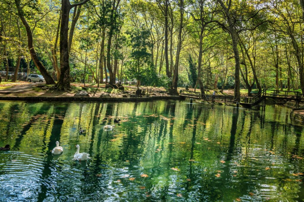 edessa-alsos-agiou-nikolaou