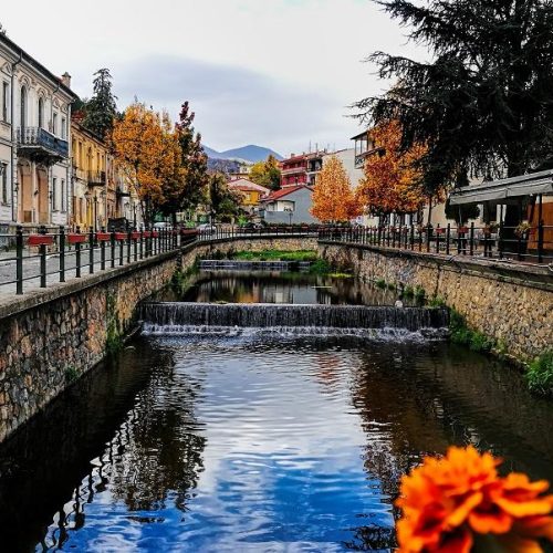 florina-1